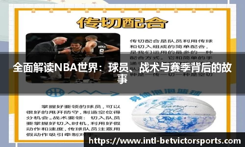 全面解读NBA世界：球员、战术与赛季背后的故事